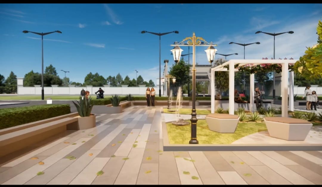 Open Plots View
